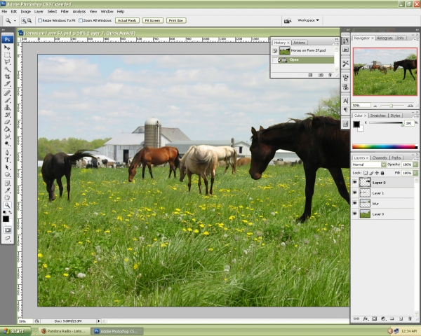 Creation of Spring Graze: Step 6